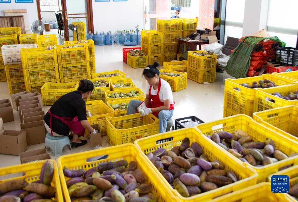 捕鱼游戏大厅免费